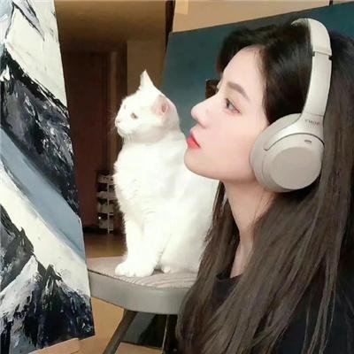 电影版 声之形